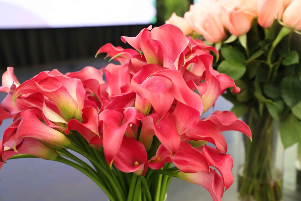 Flores, chocolates y joyas: Exportaciones que celebran el amor y amistad