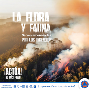 Protejamos a Guatemala del fuego - Recomendaciones